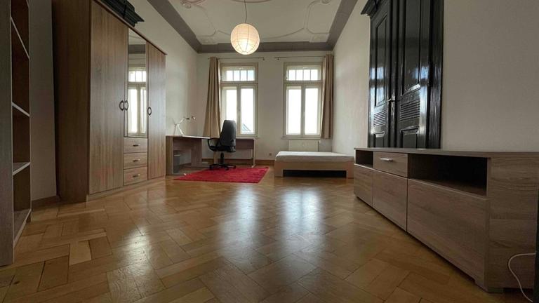 Bright room in the city center of Leipzig - 25 m2 - clean & furnitured